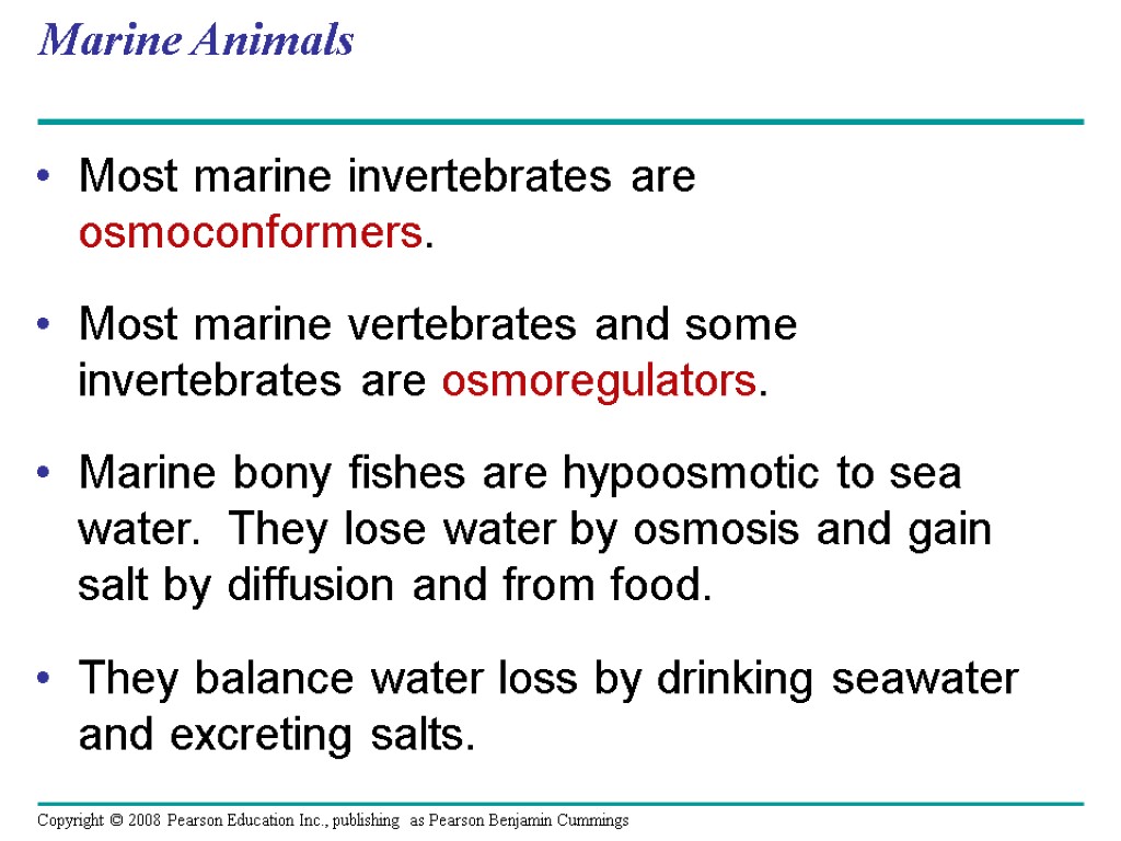 Marine Animals Most marine invertebrates are osmoconformers. Most marine vertebrates and some invertebrates are